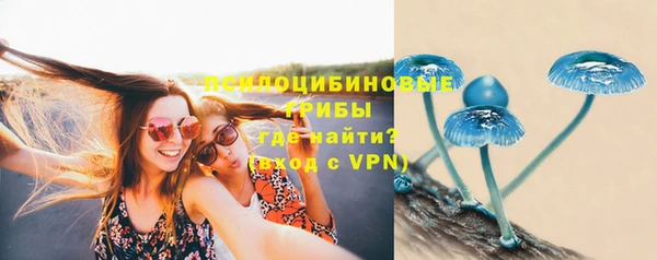 стаф Бикин