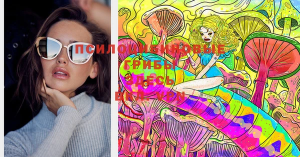 ГАЛЛЮЦИНОГЕННЫЕ ГРИБЫ Лабытнанги