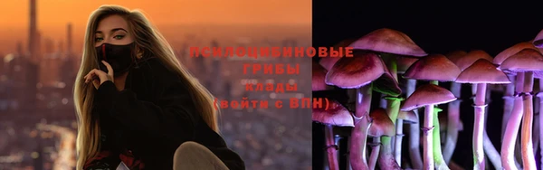 гашик Ладушкин