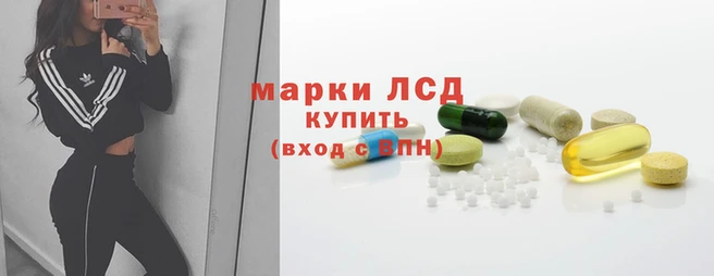 PSILOCYBIN Кукмор