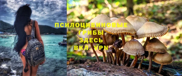 ГАЛЛЮЦИНОГЕННЫЕ ГРИБЫ Лабытнанги