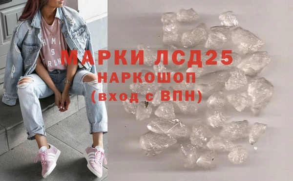 ГАЛЛЮЦИНОГЕННЫЕ ГРИБЫ Лабытнанги