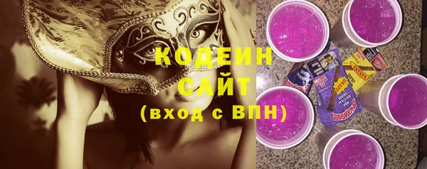 гашик Ладушкин