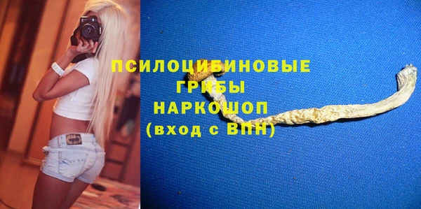 ГАЛЛЮЦИНОГЕННЫЕ ГРИБЫ Лабытнанги