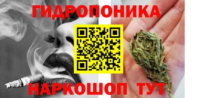 a pvp Камышлов