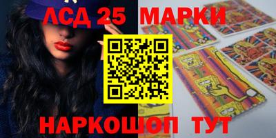 a pvp Камышлов