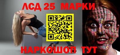 a pvp Камышлов