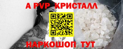 a pvp Камышлов