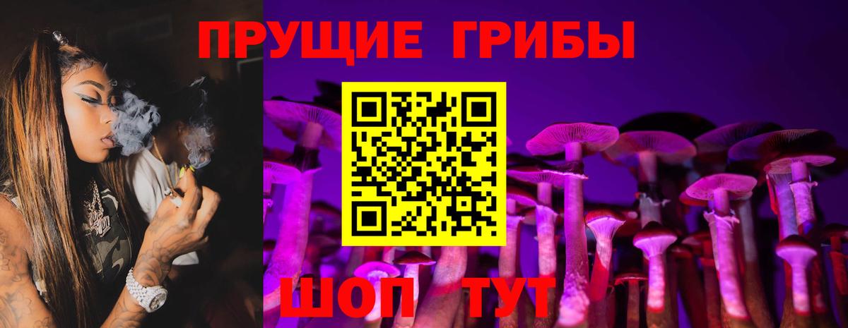 Черняховск  наркота  Вход с VPN  Псилоцибиновые грибы MAGIC MUSHROOMS 