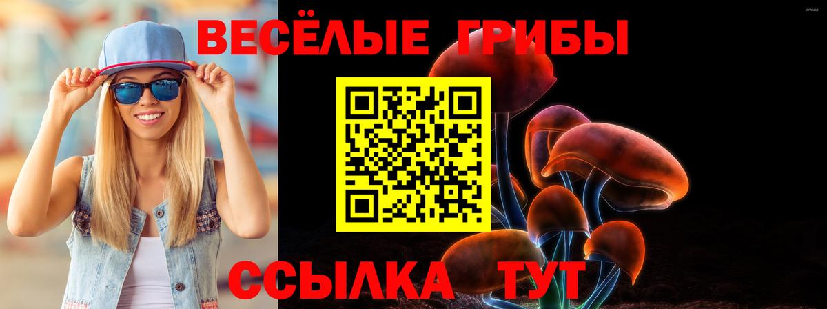 Галлюциногенные грибы Psilocybine cubensis Черняховск